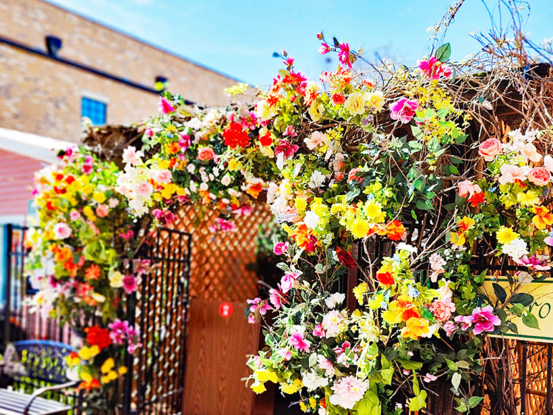 spring flowering gate