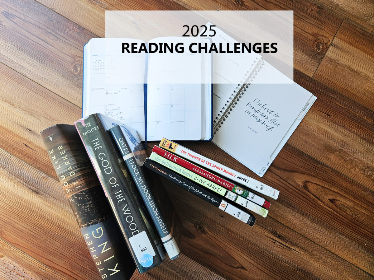 A Huge Round Up of 2025 Year Long Reading Challenges – Chapter Adventure